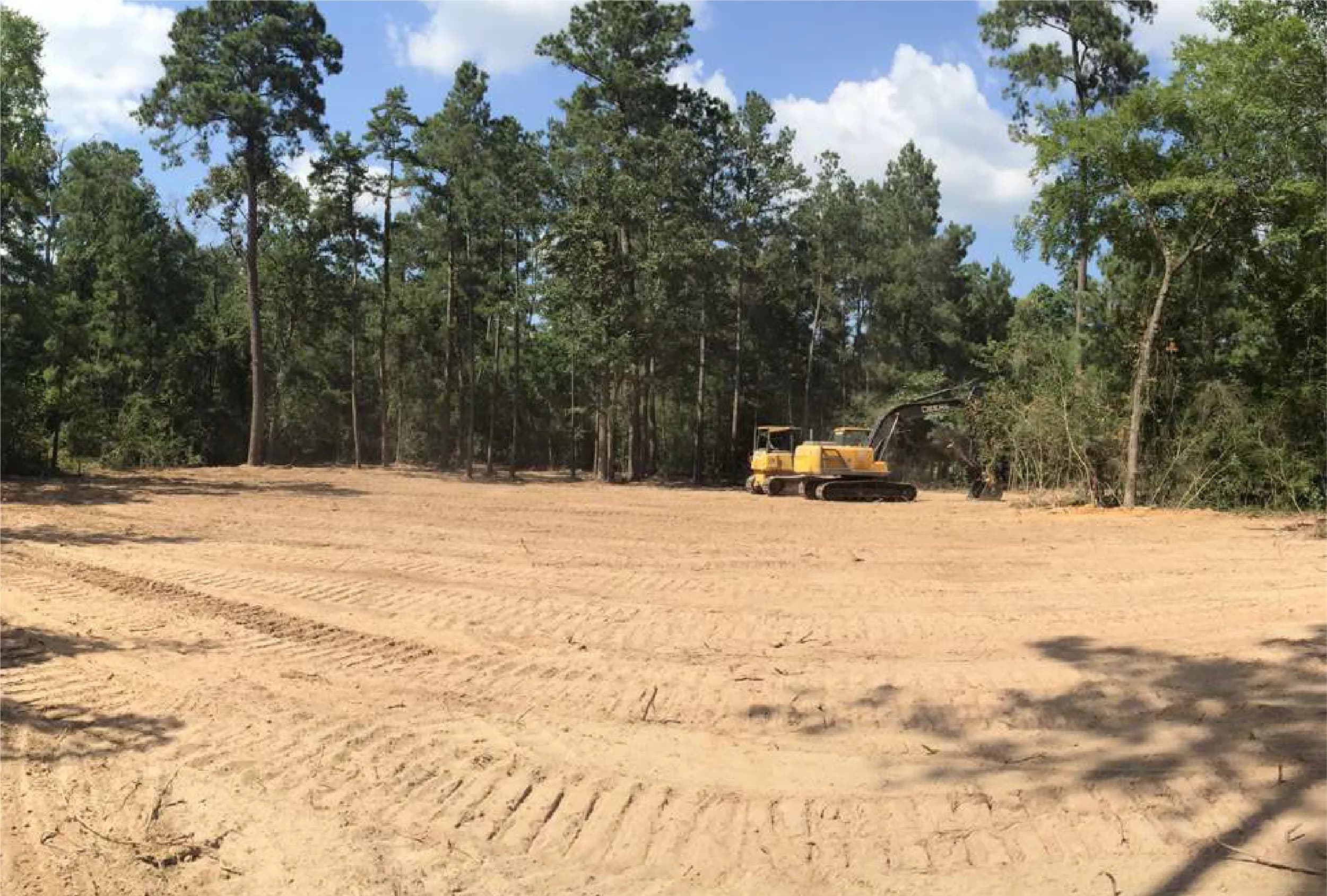Homesite Clearing